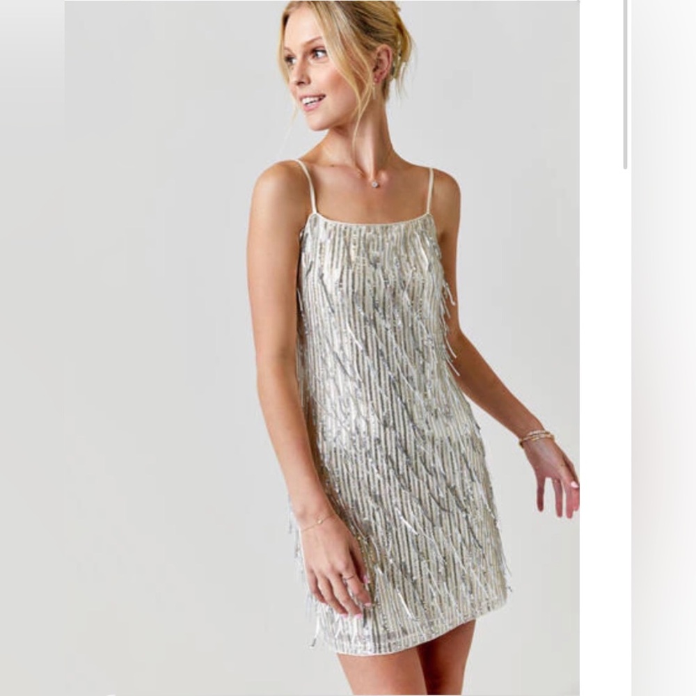NWT Franchesca’s Angelina Champagne Sequin Fringe Mini Dress